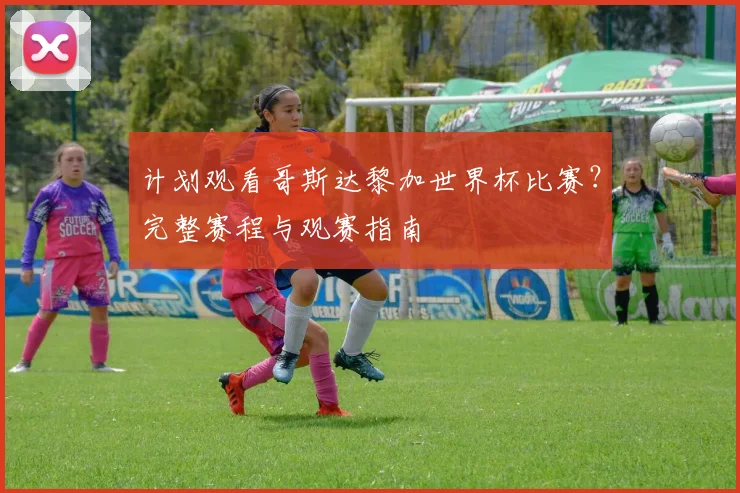 计划观看哥斯达黎加世界杯比赛？完整赛程与观赛指南